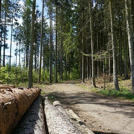 Seepark Kirchheim Ferienhaus Bei Zeta Mit Sauna Zewnętrze zdjęcie